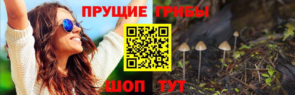 Галлюциногенные грибы мухоморы Малоярославец